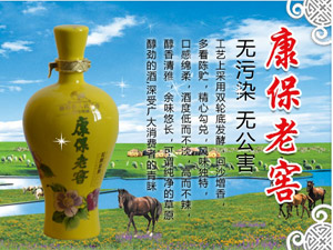 康保龙岩酿酒有限责任公司